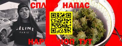 мяу мяу мука Заводоуковск