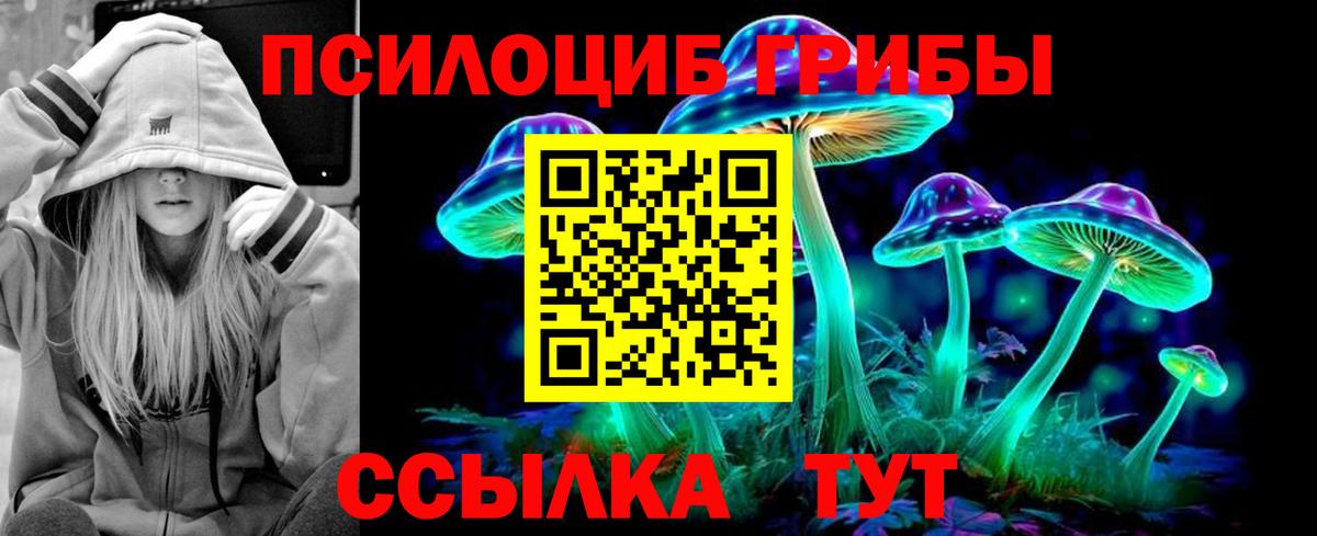 Псилоцибиновые грибы мицелий  Вход с VPN  Дагестанские Огни 